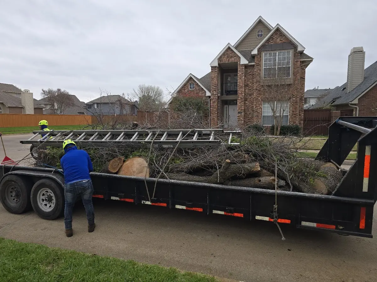 Expert Tree Fertilization with proper safety equipment in Stittville